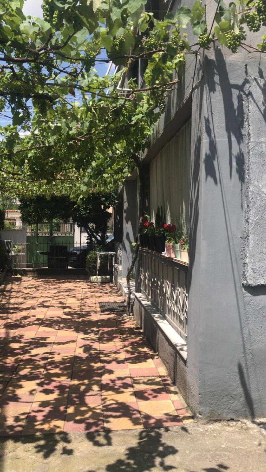 Door House Apartament